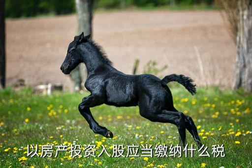 房地產出資成立公司,協會可以出資成立公司嗎