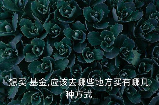 想買(mǎi) 基金,應(yīng)該去哪些地方買(mǎi)有哪幾種方式